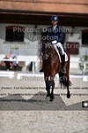ref. photo 3227351