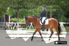 ref. photo 3227372