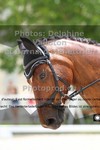 ref. photo 3227383