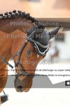 ref. photo 3227393