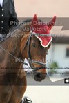 ref. photo 3227461