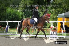ref. photo 3227463