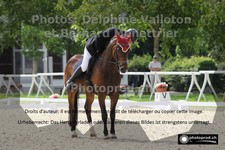 ref. photo 3227469