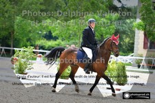 ref. photo 3227470