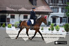 ref. photo 3227475