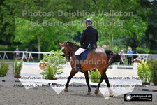 ref. photo 3227482