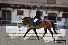 ref. photo 3227504