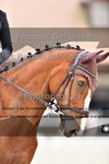 ref. photo 3227512
