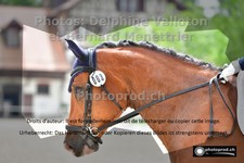 ref. photo 3227560