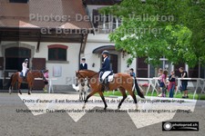 ref. photo 3227620