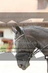 ref. photo 3227652