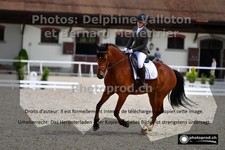 ref. photo 3227705