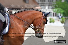 ref. photo 3227713