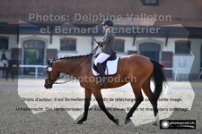 ref. photo 3227747