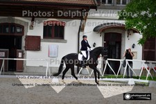 ref. photo 3227764