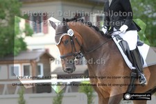 ref. photo 3227811