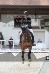ref. photo 3227874