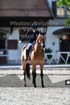 ref. photo 3227886
