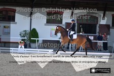 ref. photo 3227919