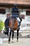 ref. photo 3228002