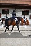 ref. photo 3228005
