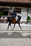ref. photo 3228006