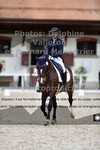 ref. photo 3228031