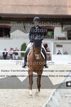 ref. photo 3228043