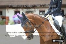 ref. photo 3228049