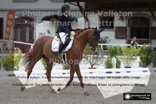 ref. photo 3228051