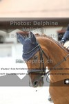 ref. photo 3228057