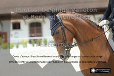 ref. photo 3228058