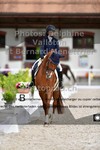 ref. photo 3228098
