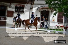 ref. photo 3228104