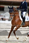 ref. photo 3228110