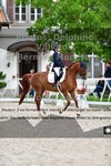 ref. photo 3228112