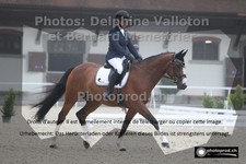 ref. photo 3228131