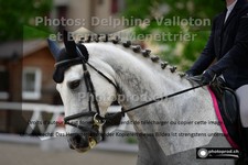 ref. photo 3228199