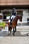 ref. photo 3228220