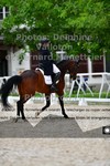 ref. photo 3228235