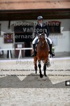 ref. photo 3228247