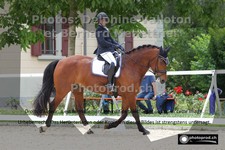 ref. photo 3228272