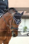 ref. photo 3228288