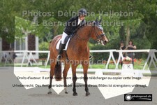 ref. photo 3228301