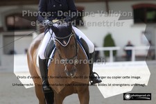 ref. photo 3228321