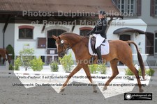 ref. photo 3228336