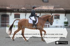 ref. photo 3228338