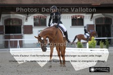 ref. photo 3228346
