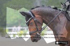 ref. photo 3228375