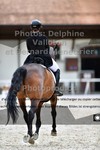 ref. photo 3228427